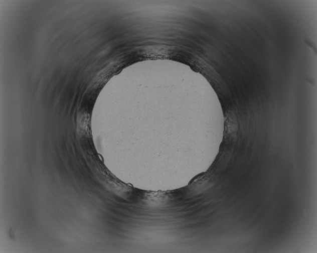 X0000100500141200807031949