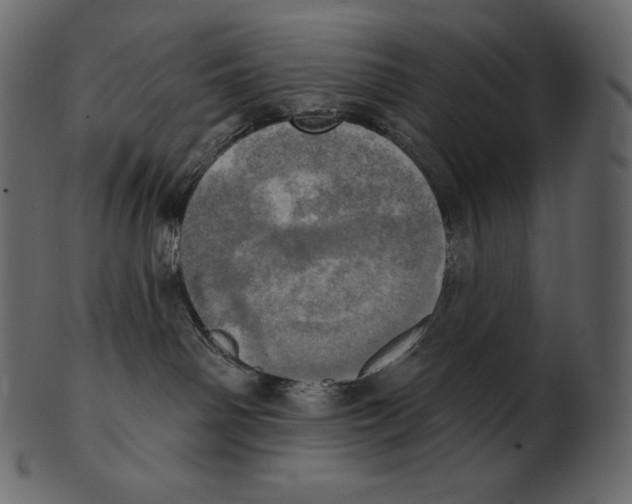 X0000100500142200807031949