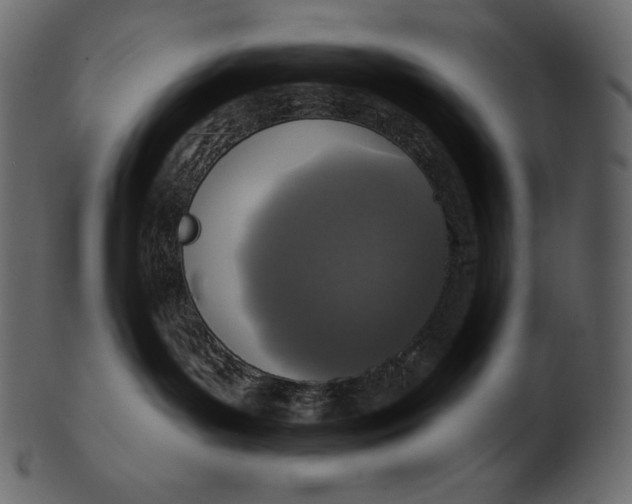 X0000100500143200807031949