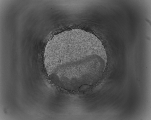 X0000100500144200807031949