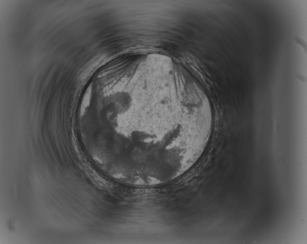 X0000100500145200807031948