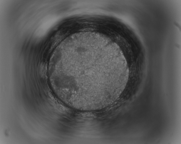 X0000100500146200807031948