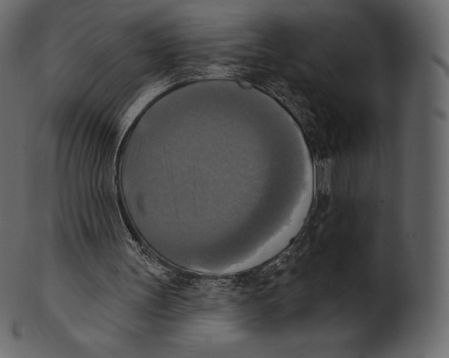 X0000100500147200807031948