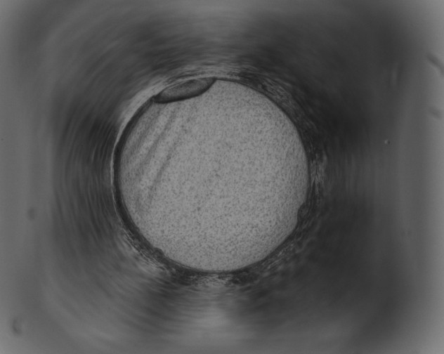 X0000100500148200807031948