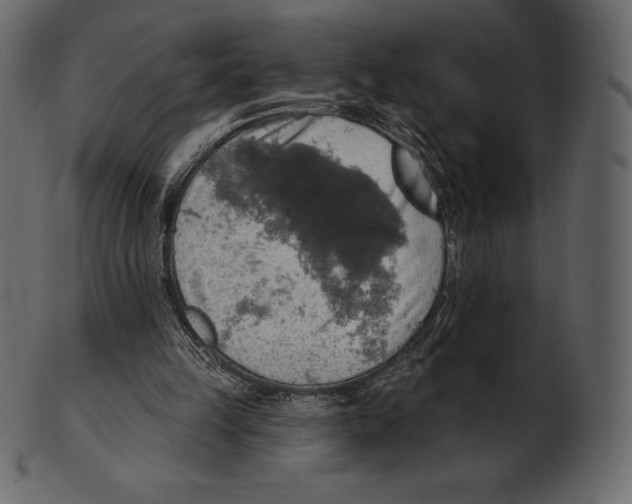 X0000100500149200807031948