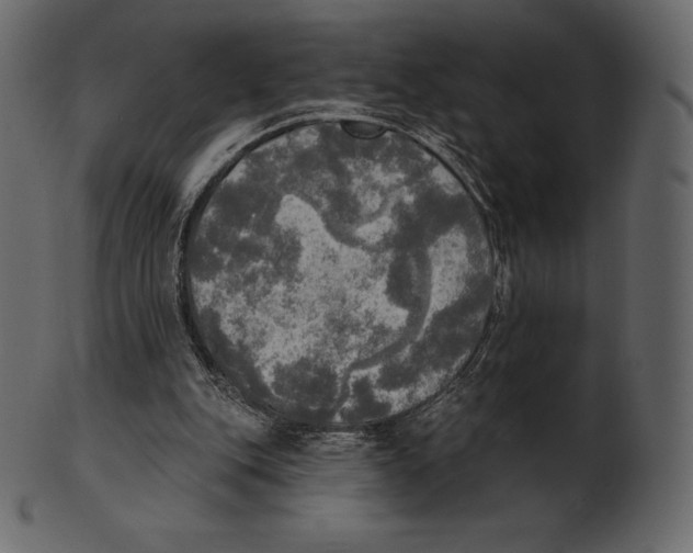 X0000100500151200807031949