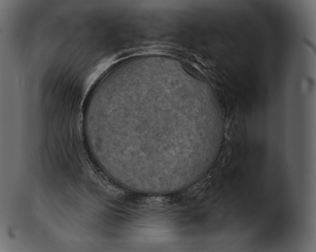 X0000100500152200807031949