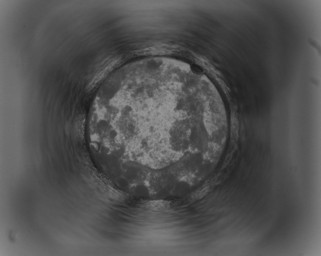 X0000100500153200807031949