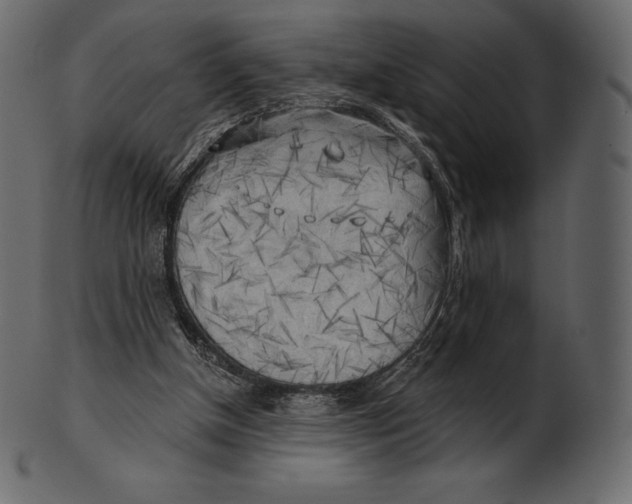 X0000100500154200807031949