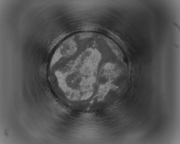 X0000100500155200807031949