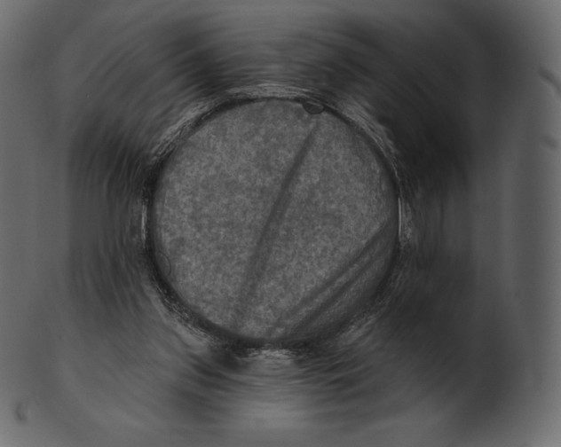 X0000100500157200807031949