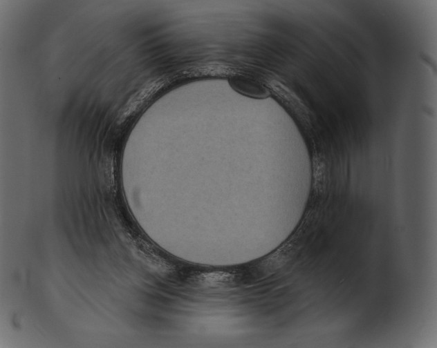 X0000100500158200807031949