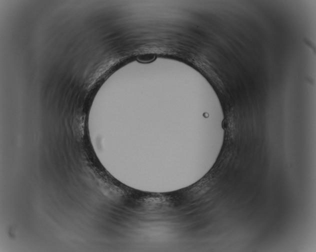 X0000100500160200807031949