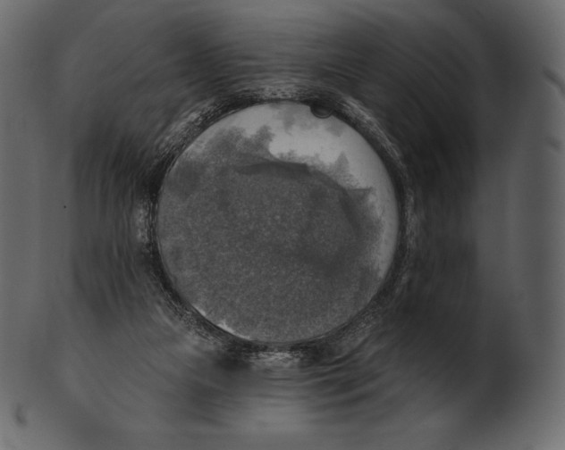 X0000100500161200807031949