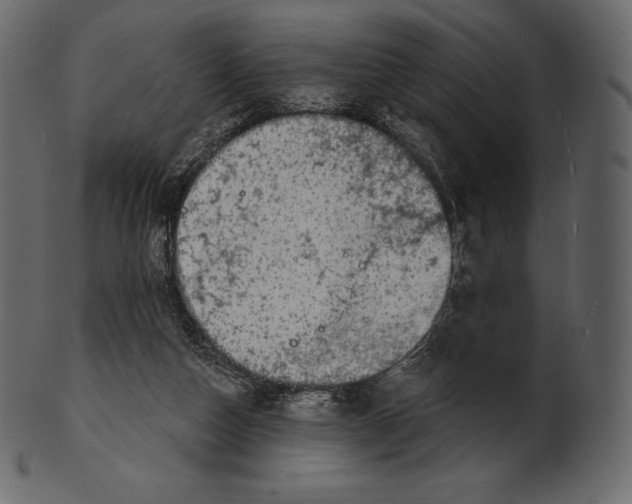 X0000100500162200807031949