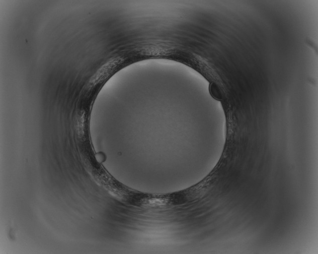 X0000100500163200807031949