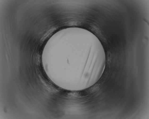 X0000100500164200807031949