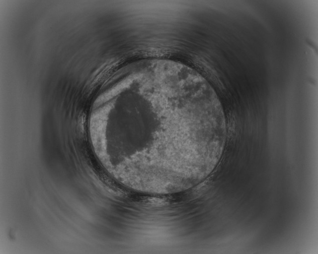 X0000100500166200807031949