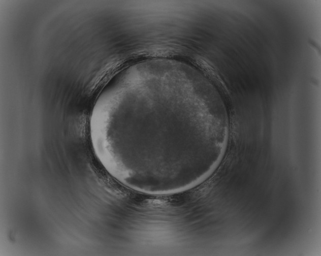 X0000100500167200807031949