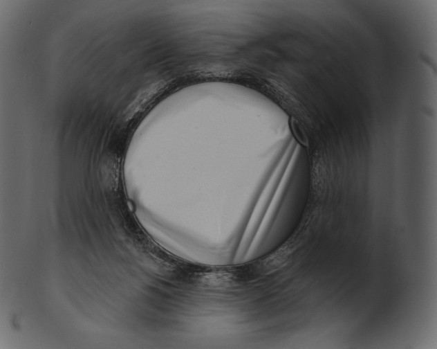 X0000100500168200807031949