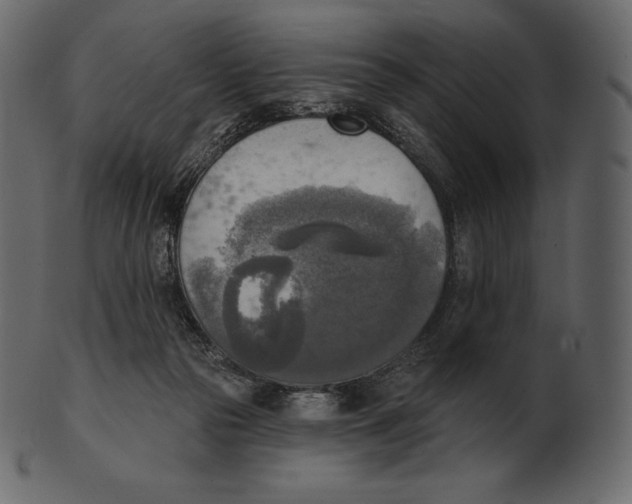 X0000100500169200807031949