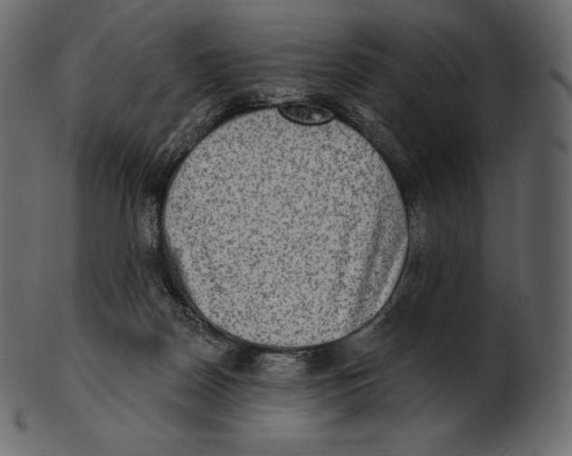 X0000100500170200807031949