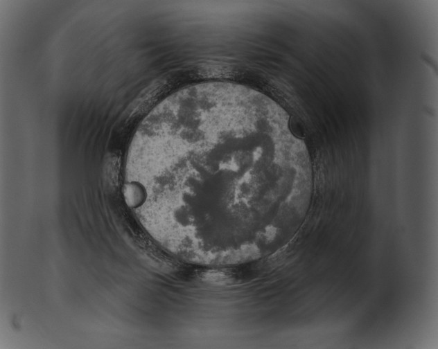 X0000100500171200807031949