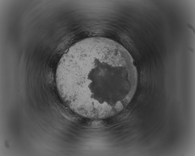 X0000100500173200807031949