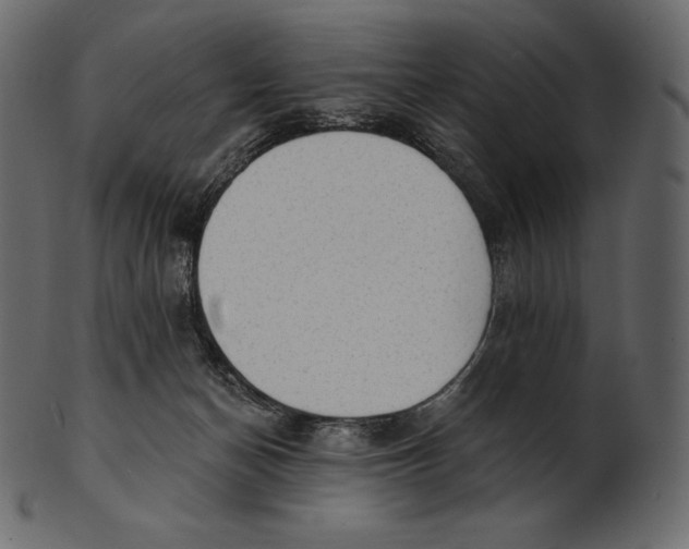 X0000100500174200807031949