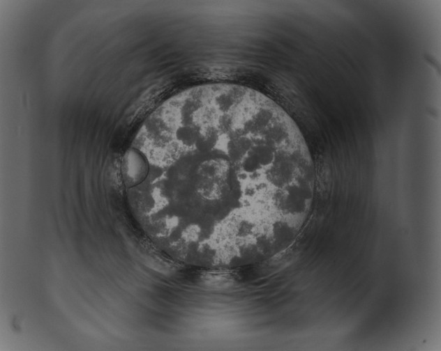 X0000100500175200807031949