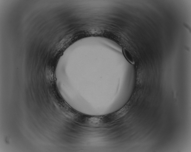 X0000100500176200807031949