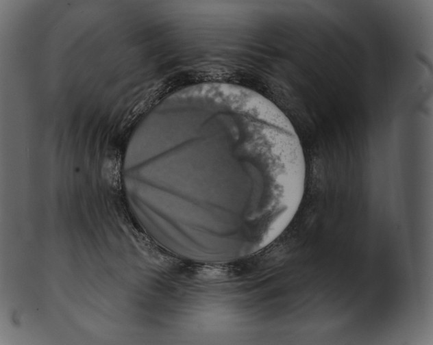 X0000100500177200807031949