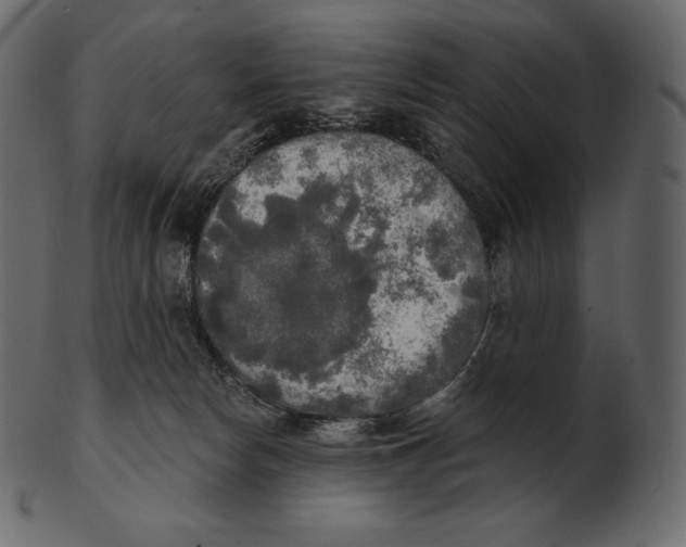 X0000100500178200807031949