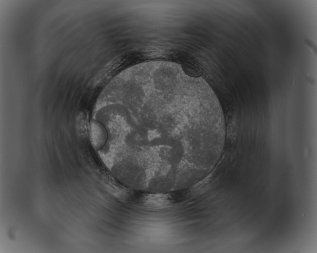 X0000100500179200807031949