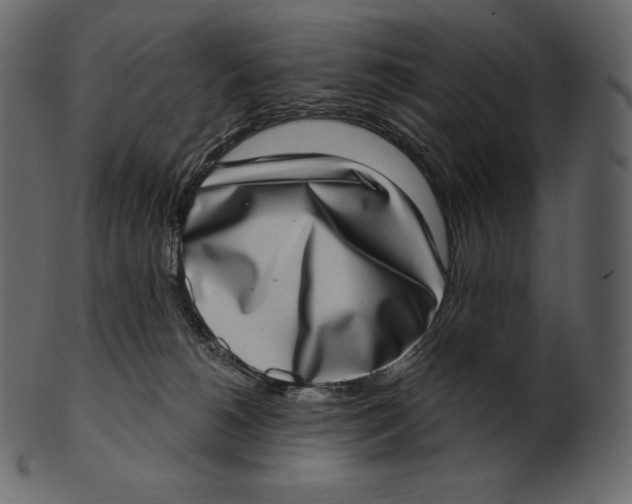 X0000100500180200807031949