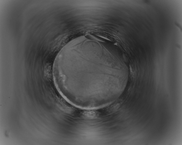 X0000100500181200807031949