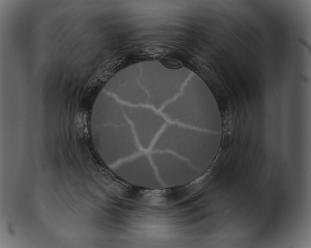 X0000100500182200807031949