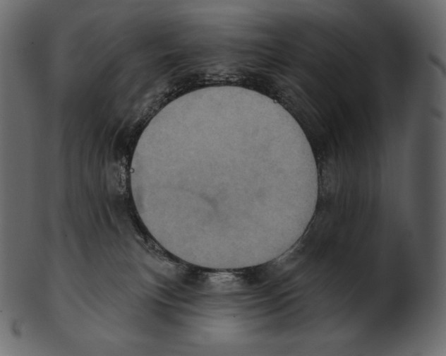 X0000100500183200807031949