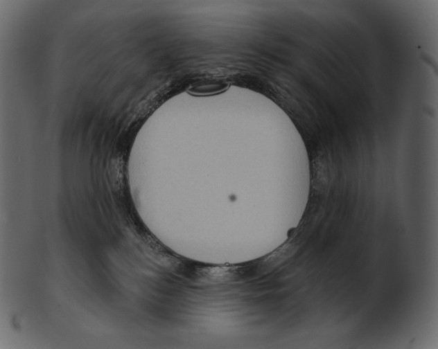 X0000100500184200807031949