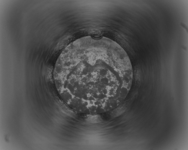 X0000100500185200807031949