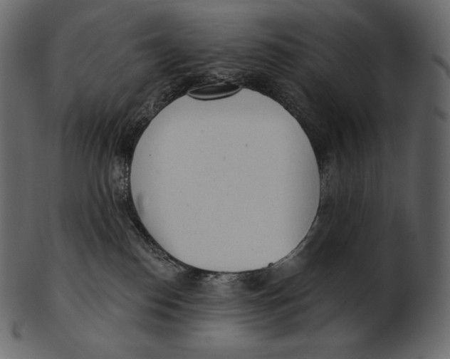 X0000100500186200807031949