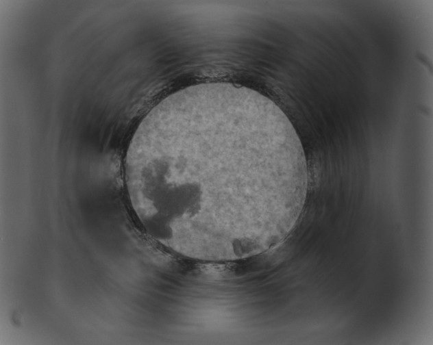 X0000100500187200807031949