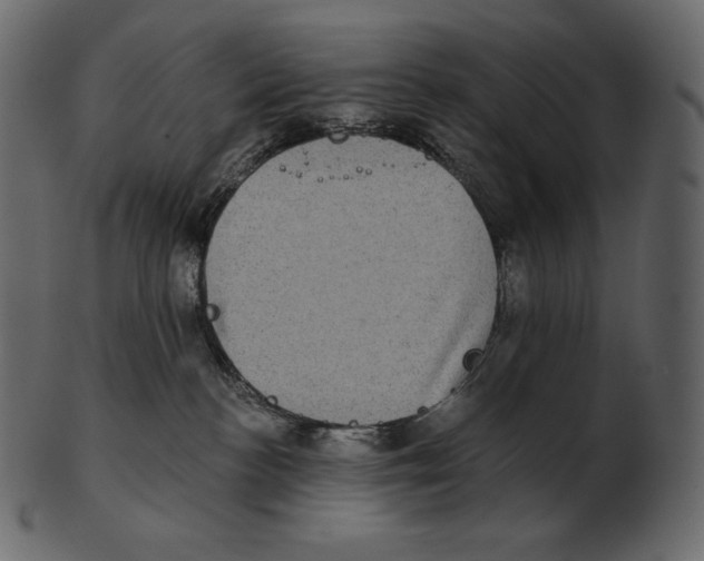 X0000100500188200807031949