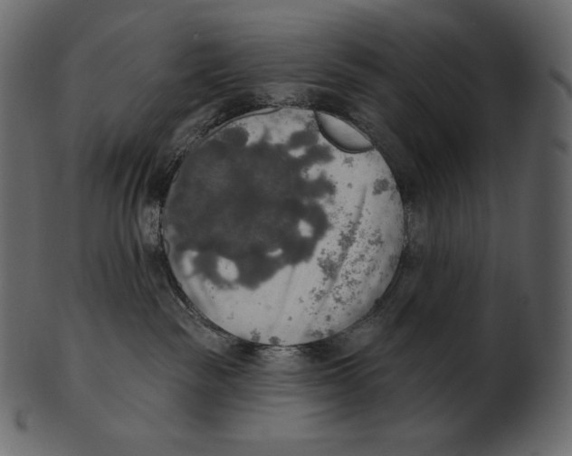 X0000100500189200807031949