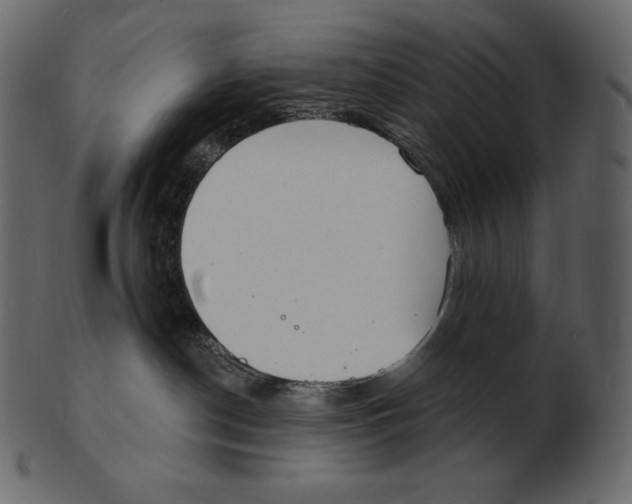 X0000100500190200807031949