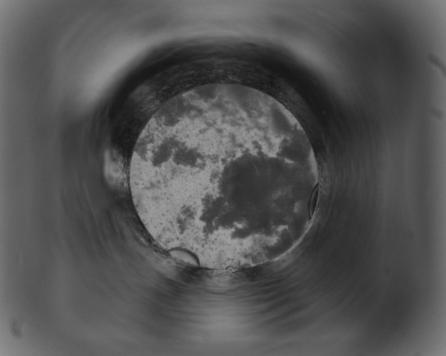 X0000100500191200807031949