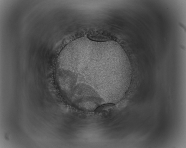 X0000100500192200807031949