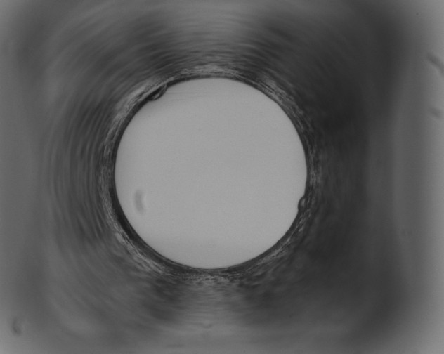 X0000100500193200807031948