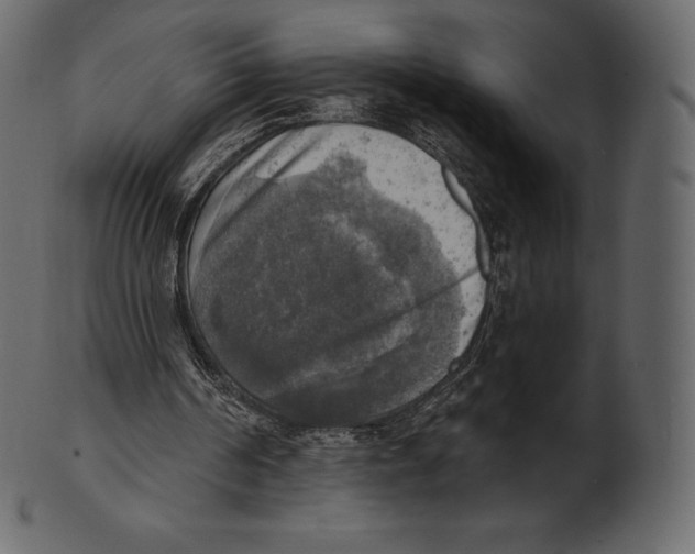 X0000100500194200807031948