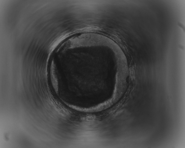 X0000100500196200807031948